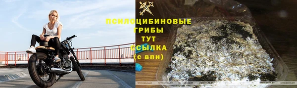 спайс Алексин