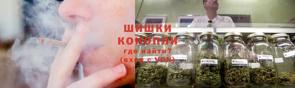 спайс Алексин
