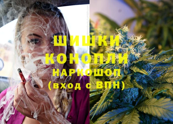 ешки Алексеевка