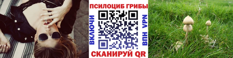 Псилоцибиновые грибы мицелий  блэк спрут tor  Ефремов 