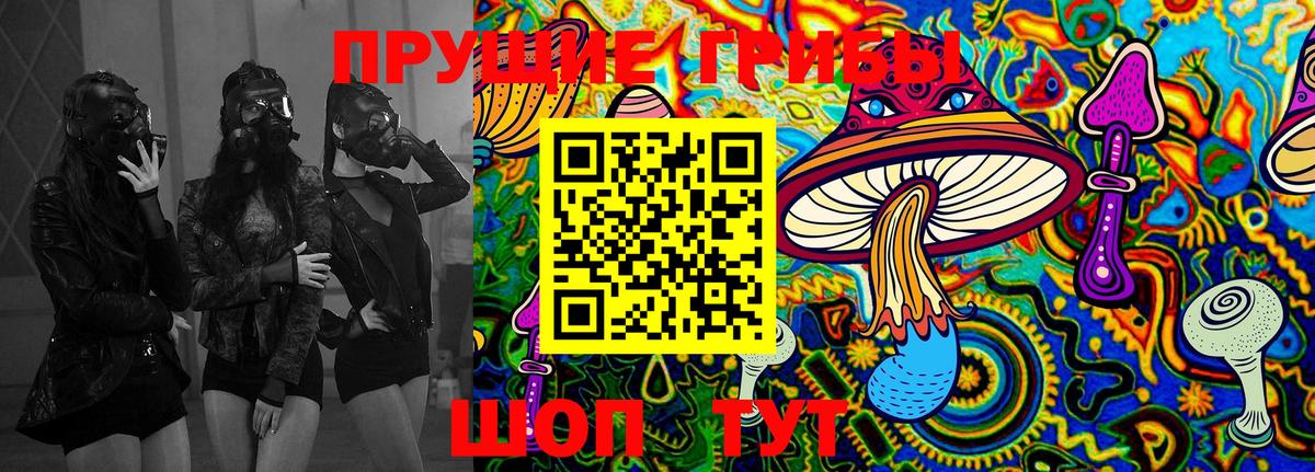 Галлюциногенные грибы Psilocybe  Вход с VPN  Галлюциногенные грибы Psilocybe  Ефремов 